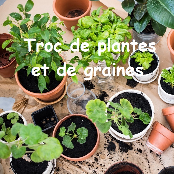 troc_plantes